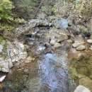 단양충전소 이미지