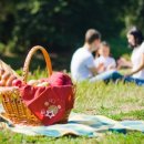 넥스트(NEXT) 이미지