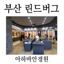 아하바안경원 | 부산 린드버그 안경테 아하바안경에서~~