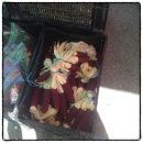 등대울펜션 이미지