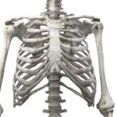 위풍당당정형외과의원 이미지