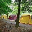 내장산국립공원 내장야영장 이미지