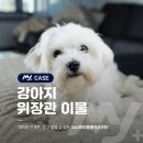 운정24시동물의료센터 이미지