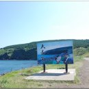 화순리 해수욕장 도로변 이미지