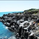 제주 올레길 8코스 이미지