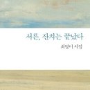 서른, 잔치는 끝났다 - 최영미 이미지