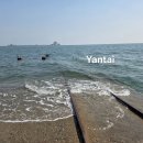 마킹커피(Marking Coffee) | 옌타이 가볼만한곳 《해창 어인부두》 연태 센과치히로 기찻길 / 고덕지도