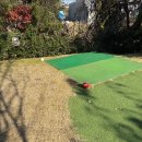 마음골프클럽 | 청주 파인파골프클럽 방문후기 및 이용방법 코스길이