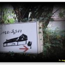 새소리 물소리 이미지