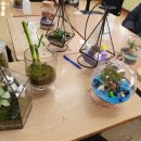 온정중학교 이미지