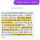 피티루트 네이버블로그