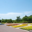 대구수목원 이미지