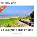 솔숲과바다 이미지
