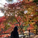 산방천 | [천안/병천] 산과 숲 그리고 산방천뷰, 전통 한옥 카페 흑(黑)