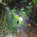 이마트24 향촌점 | [걷기] 남파랑길 43코스 (남해바래길 11코스)