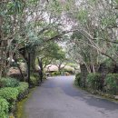 씨에스 호텔 이미지