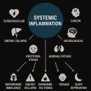 유박의원 | 대한홀리스틱의학연구회 주체 대한내분비혁신의학회 제1회 Holionex Medicine 심포지엄 행사 후기