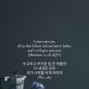 (주)엄마 이미지
