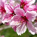 (주)상대온천관광호텔 이미지