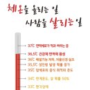 36.5체온다이어트 네이버블로그