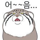 식스시즌스 이미지