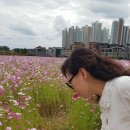 코스모스세탁소 이미지