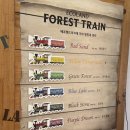 피크닉 테마파크 | 에코랜드 테마파크 겨울 소요시간 입장권 기차 후기