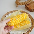 초당