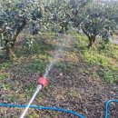 표선가시리민박 이미지