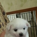 곤니찌와일본어학원