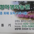 철정농장 네이버블로그