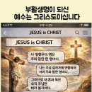(주)연합 - 4367 | (주)연합