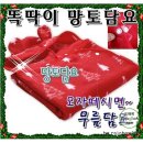Q-2 이미지