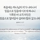 Eternal life (Christianity)- 영원히 사는 것을 믿사오며 이미지