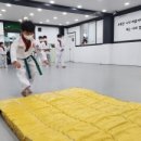 대나무태권도장 네이버블로그
