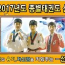 선인태권도장 이미지