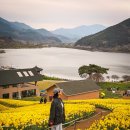 산동면사무소 | 구례 현지인 맛집 추천 지리산치즈랜드 근처 닭 오리구이