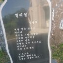 충남보령 웅천 돌문화공원 시비 시1편-[찔레꽃] 이미지