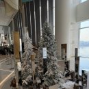 리버킹 | 내돈내산 신상 호텔 조식맛집, 뷰맛집 @호텔나루 엠갤러리 디럭스 리버킹 후기