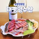 노량진횟집 대방어 맛집 태평양수산 모듬회 포장 후기