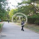 대창공인중개사사무소 이미지