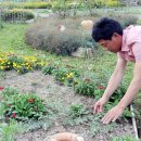 박석순농장 이미지