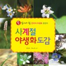 사계절야생화 이미지