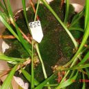 길상초등학교 이미지