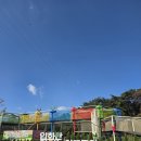 조치원어린이도서관 | 놀이뜰공원,선바위숲프로그램,청주왕천파닭,청주조치원파닭,온유스튜디오,세종베어트리파크,세종국립...