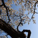 김해건설공업고등학교 이미지