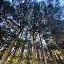 다도면복지센터 이미지