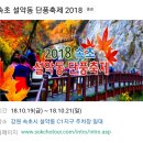 10월 25일. 독도의 날. 한국의 탄생화와 부부사랑 / 단풍나무 이미지