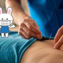 솔찬한의원 이미지