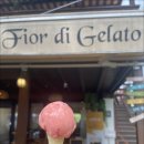 피오르디 젤라또 이미지